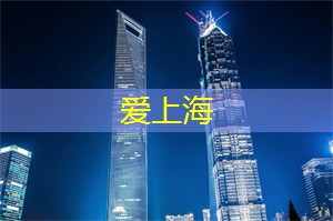 在璀璨夜景下的心路历程 在璀璨夜景下的心路历程